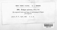 Image Associated With the Occurence
